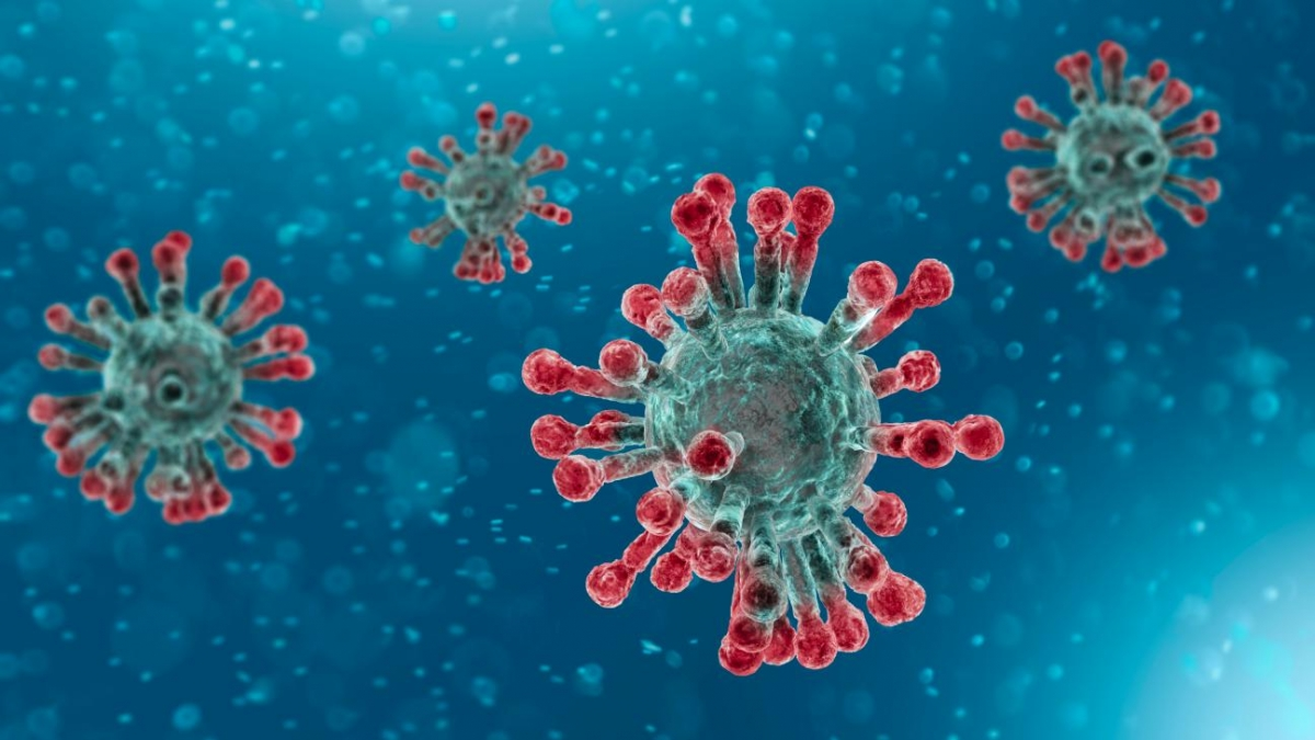 Virus SARS-CoV-2 tồn tại trong cơ thể con người nhiều tháng(28/12/2021)